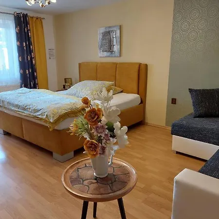 Hotel Olga 3*