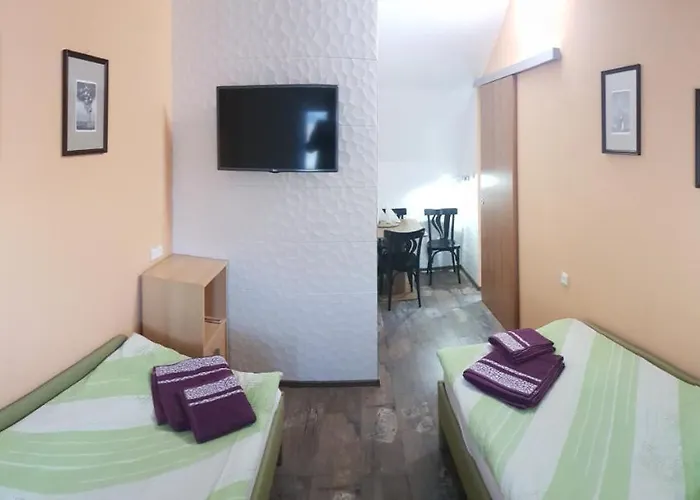 Hotel Olga 3*