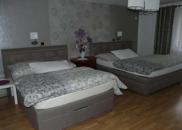 Hotel Olga 3*